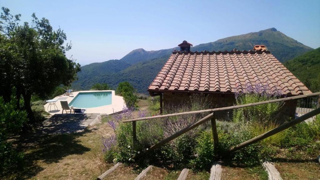 Villa Casa Beatrice Camaiore Exterior foto